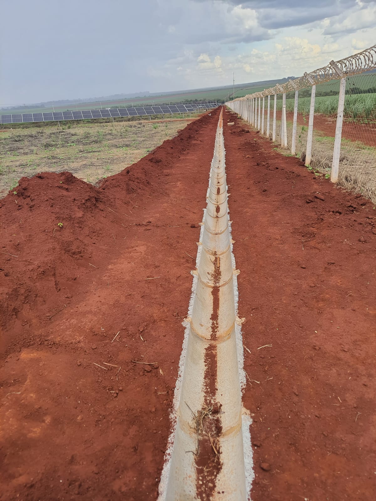 WhatsApp Image 2024-11-01 at 15.29.16.jpeg