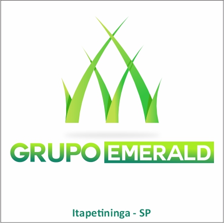 grupo_emerald_grass.jpg